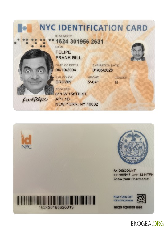 Carte d'identité USA New York template Carte d'identité USA New York template